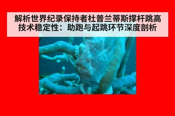 解析世界纪录保持者杜普兰蒂斯撑杆跳高技术稳定性：助跑与起跳环节深度剖析