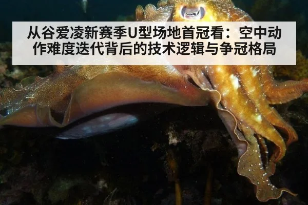 从谷爱凌新赛季U型场地首冠看：空中动作难度迭代背后的技术逻辑与争冠格局